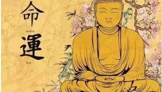 人缘变好嫁得好嫁好老公的八字的八字特征
