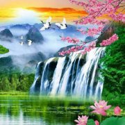 风舟师最好的微信名字？求学业