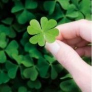 自学奇门的最佳要领_求学业