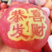 命里有财早晚会发迹？求学业