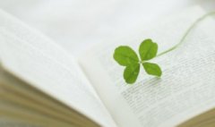 十二生肖的代号和属性(2019生肖卡对比表)求学业