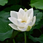 碰到正缘前会结局孽缘求学业