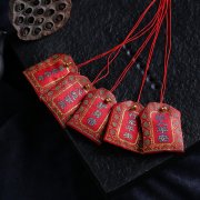 检察12生肖表？求学业