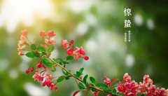 卜易居十二生肖运势！求学业