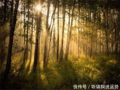 测测你正在他内心占多少求学业