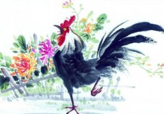 害太岁是什么兴味属马！求学业