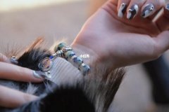塔罗牌测情绪准吗求学业