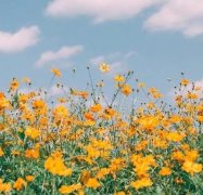 家中装修风水讲究(装修家居风水)