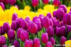 八字看自己什么转世