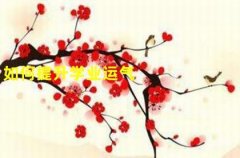 2022年生肖龙的全年运势