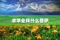 放纵自己(十二生肖)