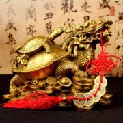 几月份蛇和猪不相冲(与猪不合的属相)