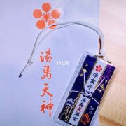 11月11日是什么星座