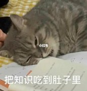 卜易居2020十二生肖运势运程