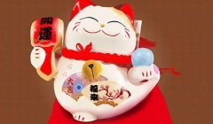 大林木命适合养花吗 养什么植物好
