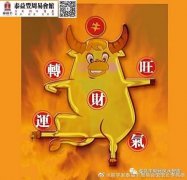 单飞对于你命理运势的影响