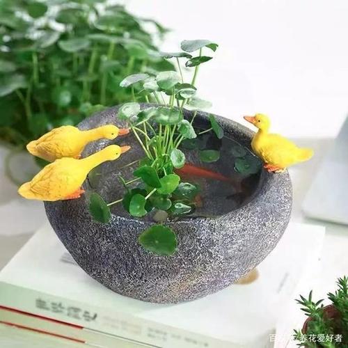 算命软件哪个最准最全免费