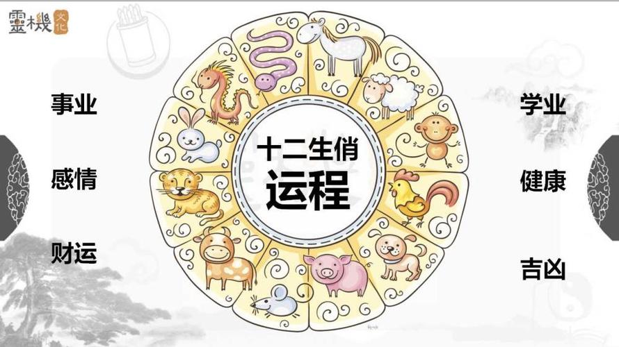 十二星座配对率统计图