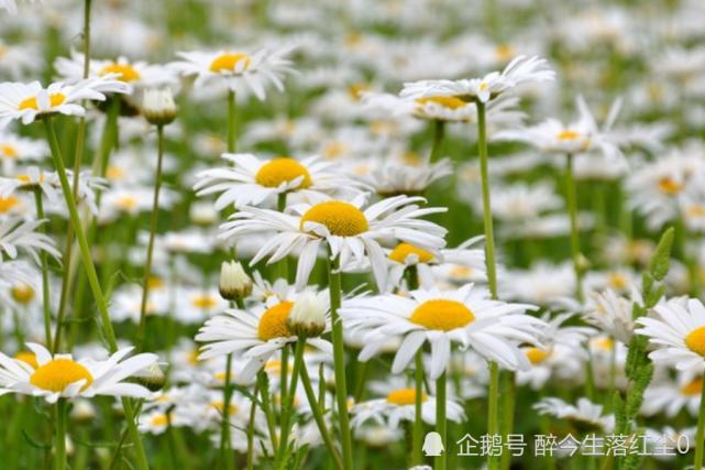 12星座出生日期性格特点