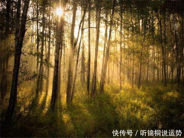 家里有90岁老人很不好