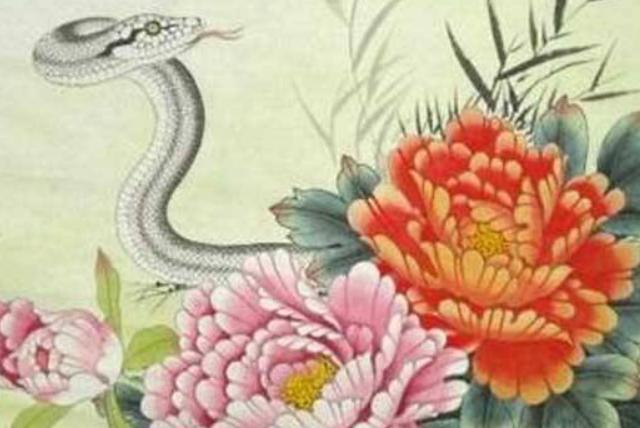 跪求真正算卦微信