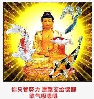 2020免费算命一年运势