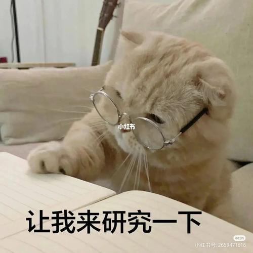 十二星座专属星空甜品