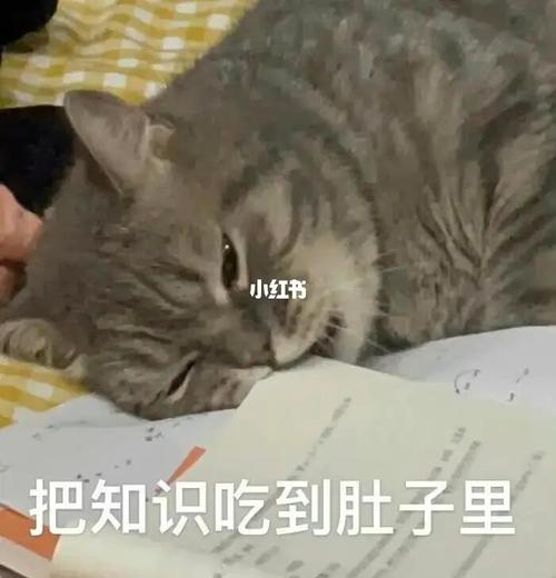 卜易居2020十二生肖运势运程